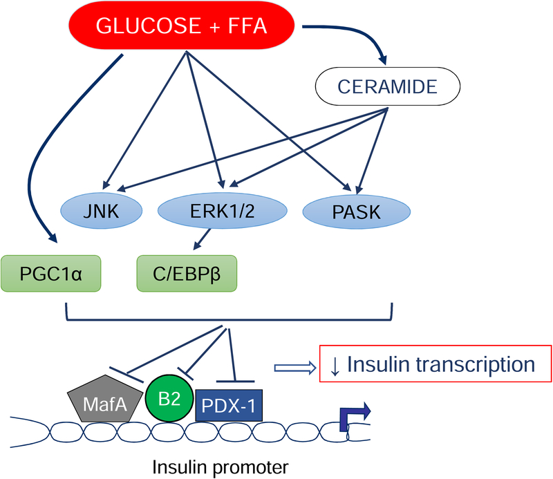 Figure 4: