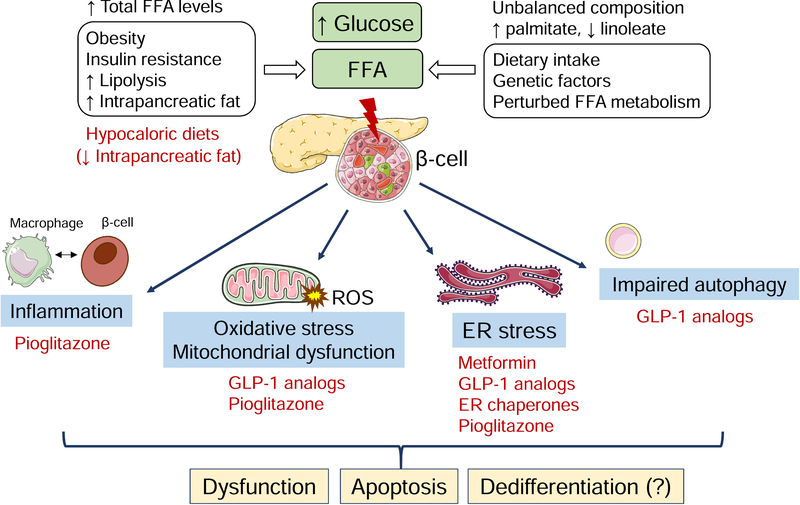 Figure 6: