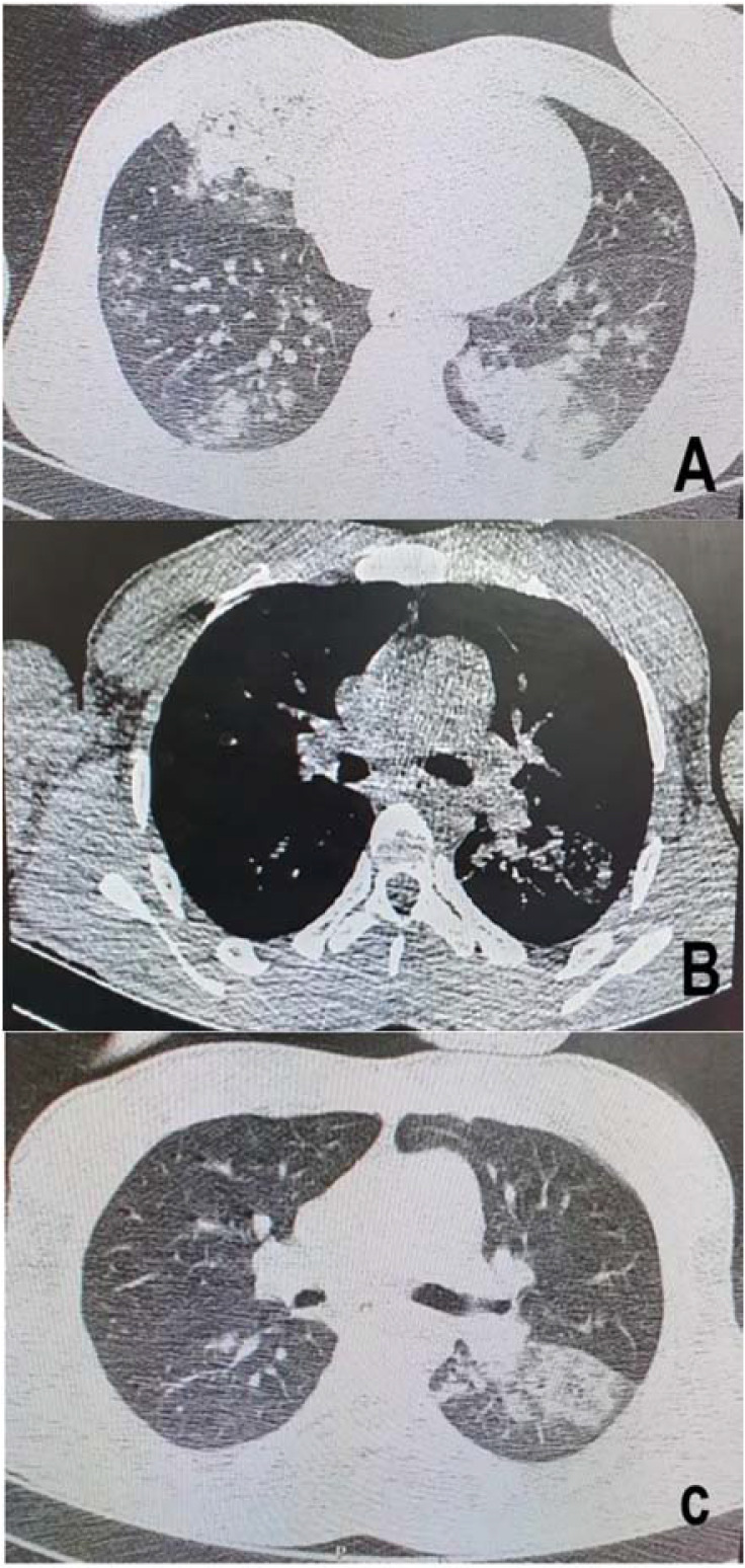 Figure 1.