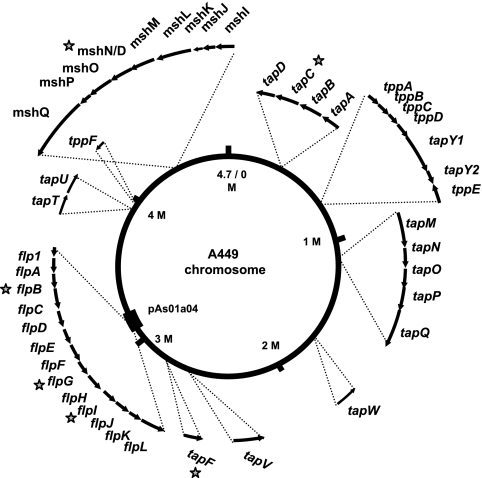 FIG. 2.