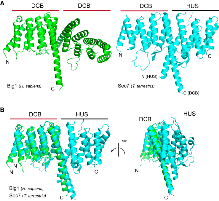 Figure 7