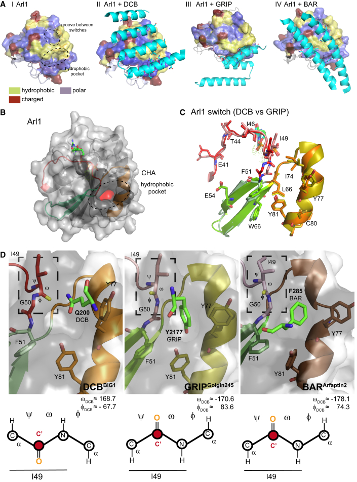 Figure 6