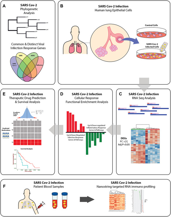 Graphical Abstract