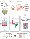 Graphical Abstract
