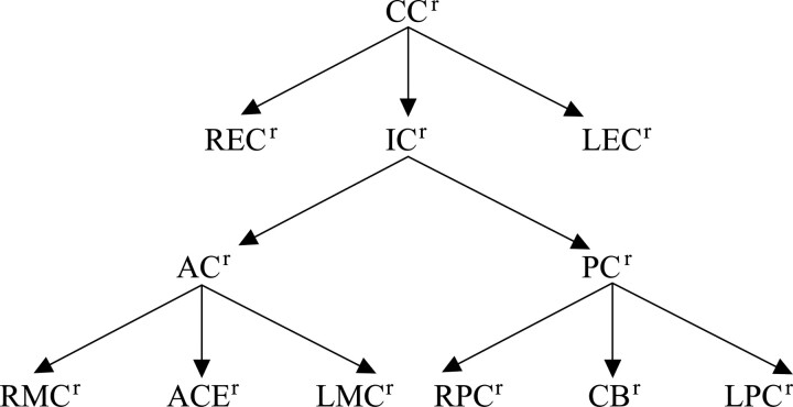 Fig 3.