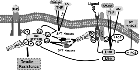 FIG. 8.