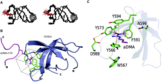 Figure 2.