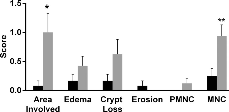 Figure 3a: