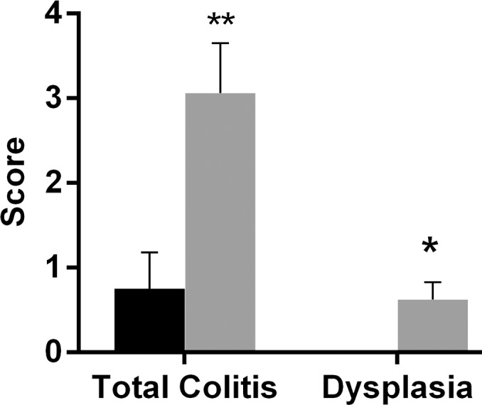 Figure 3b: