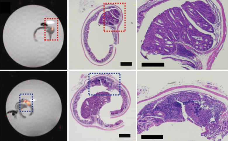 Figure 2d: