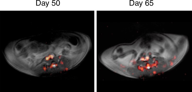 Figure 1b: