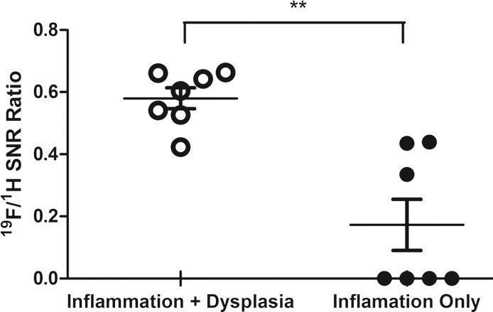 Figure 4e: