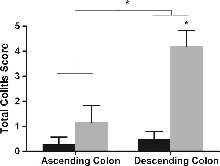 Figure 4a: