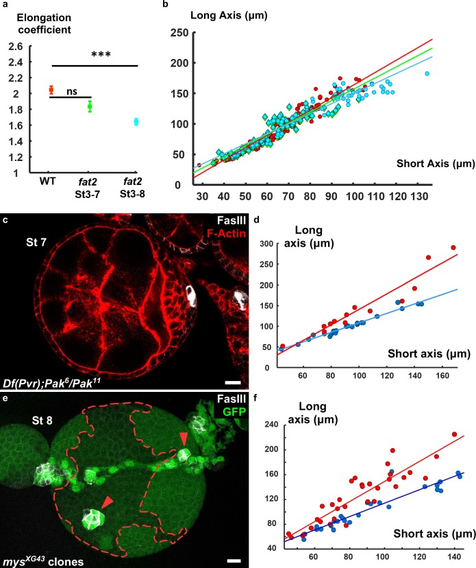 Figure 1—figure supplement 1.