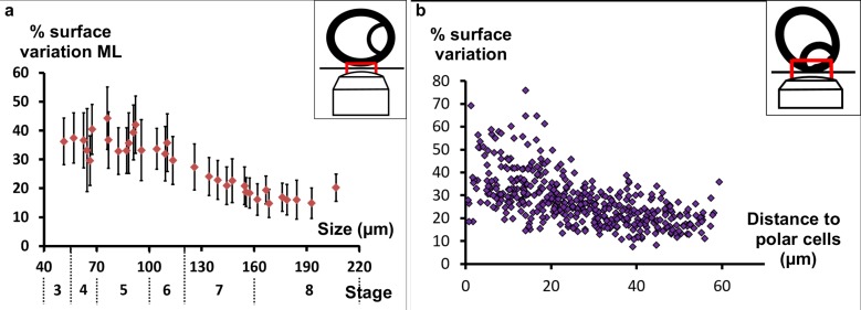 Figure 4—figure supplement 1.