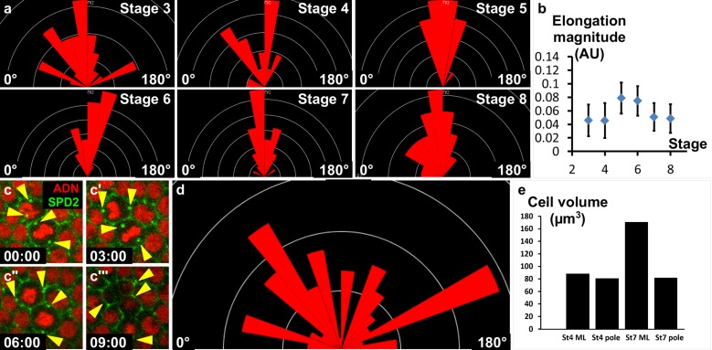 Figure 6—figure supplement 1.