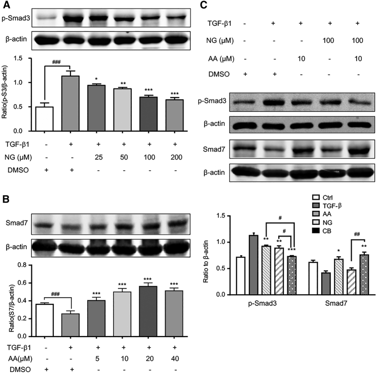 Figure 1