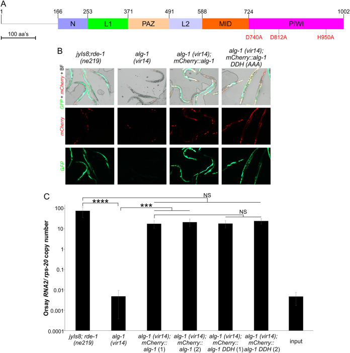 FIG 6