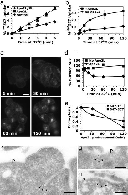 Fig. 4.