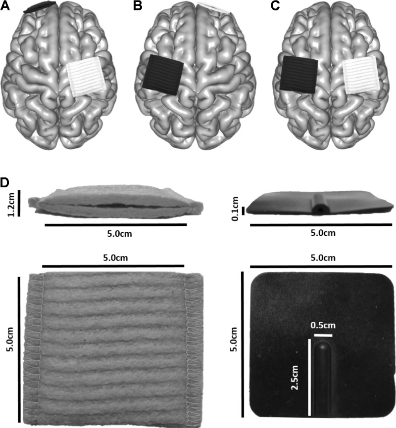 FIGURE 2