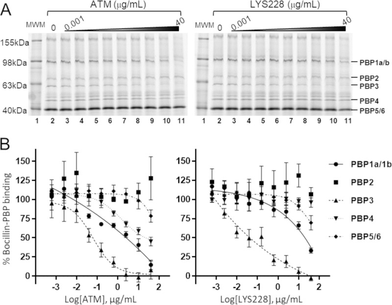 FIG 2