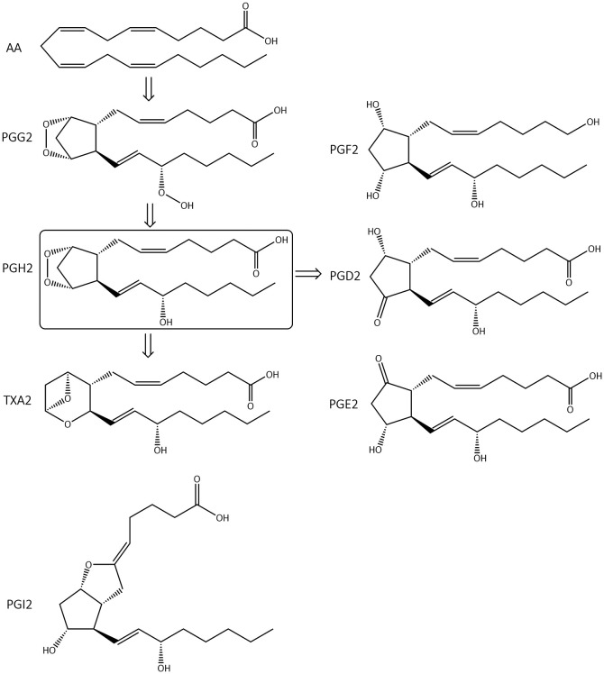 Fig. 2