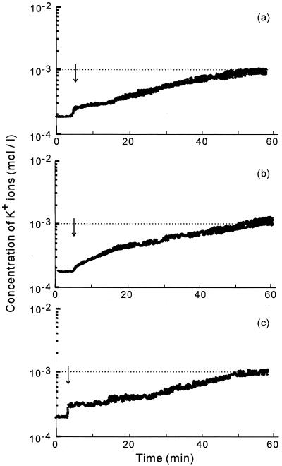 FIG. 6.