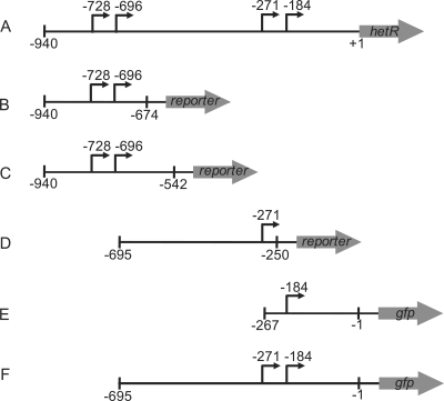 FIG. 1.