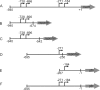 FIG. 1.