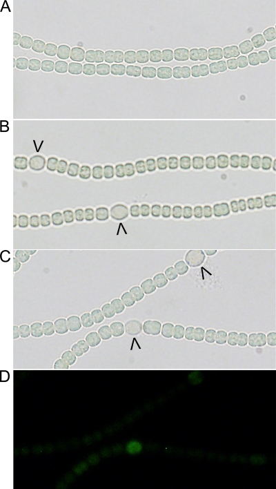 FIG. 6.