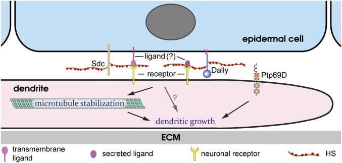 Fig. 8.