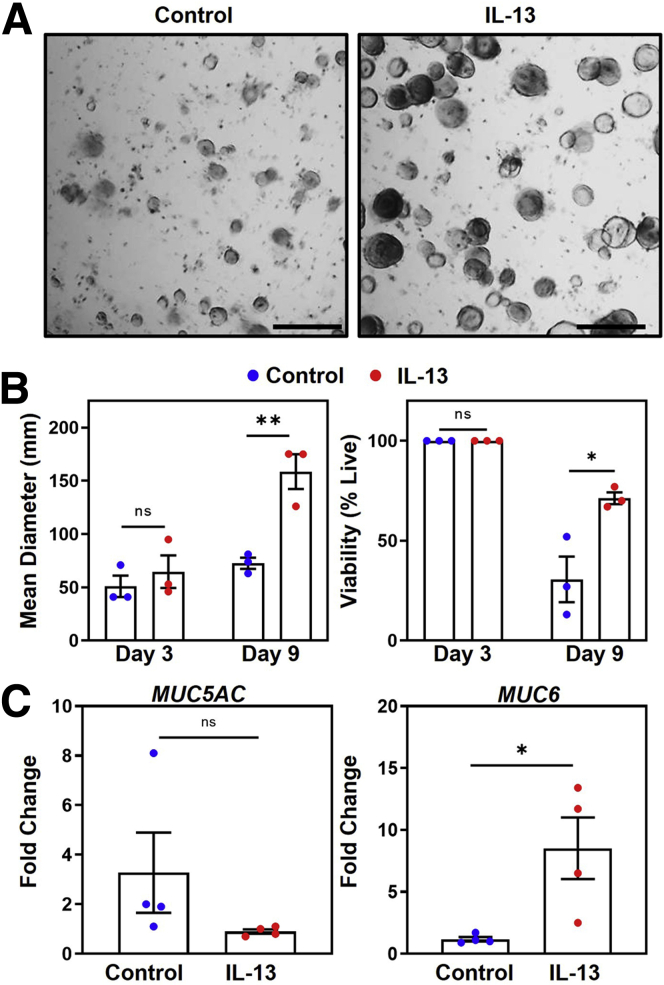 Figure 3