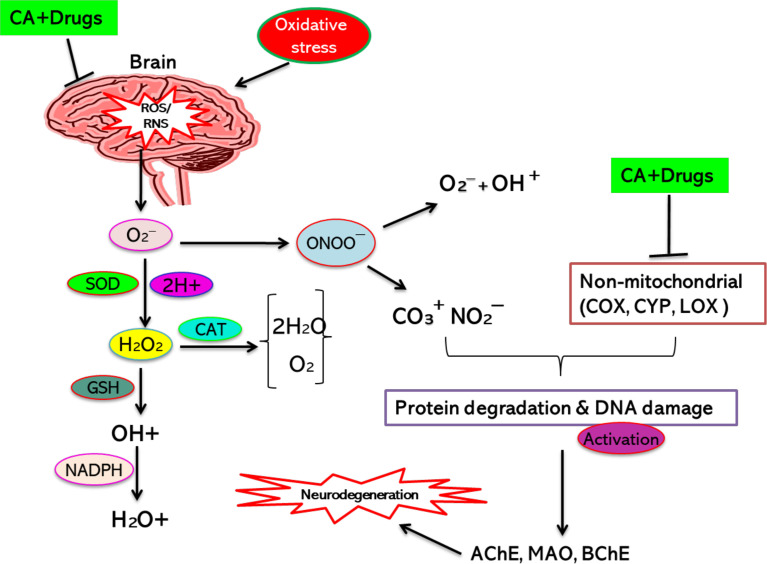 Figure 2