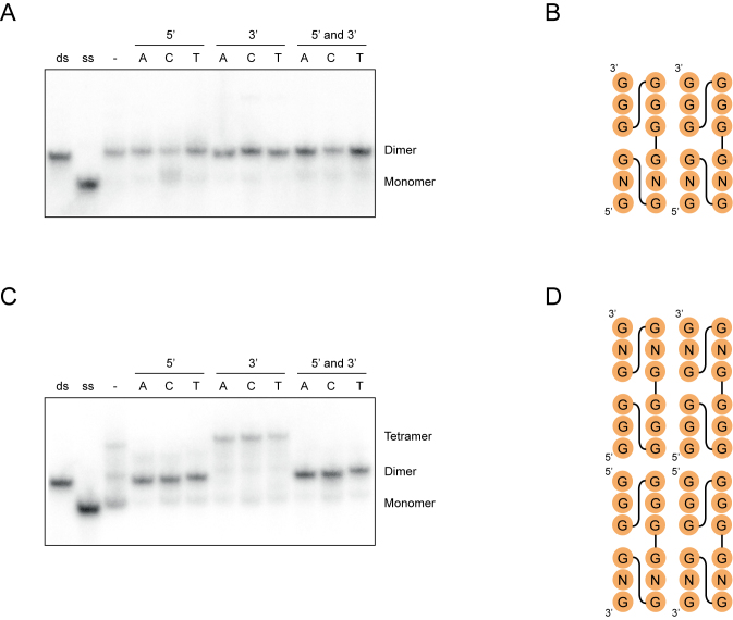 Figure 9.