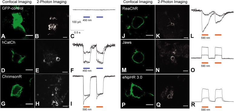 FIGURE 3