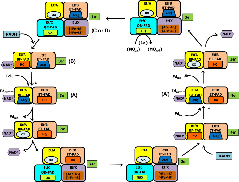 Fig. 6.