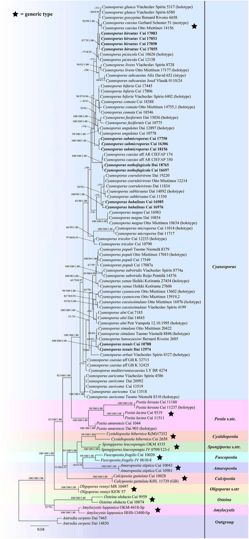 FIGURE 3