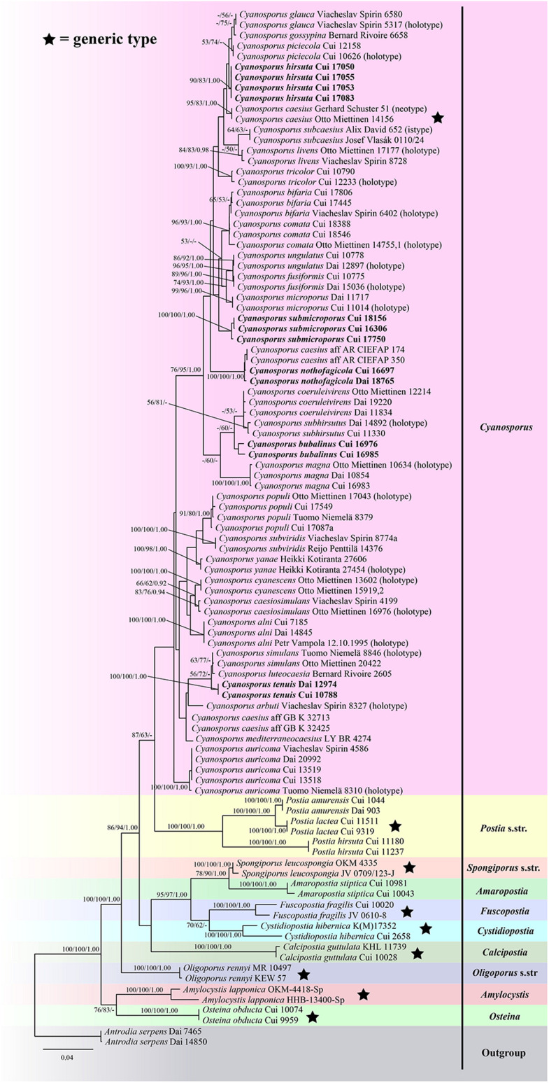 FIGURE 1