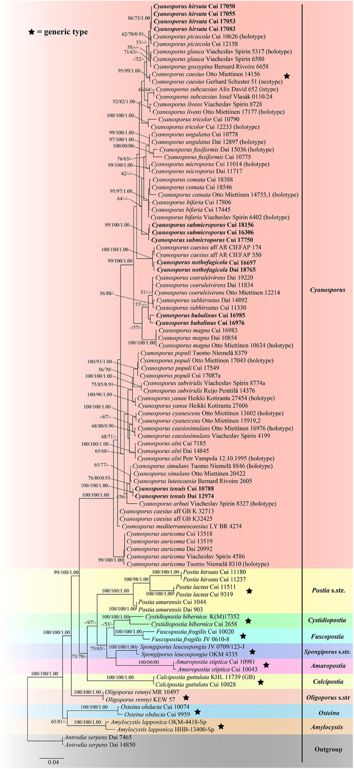 FIGURE 2