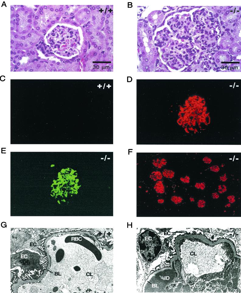 FIG. 8