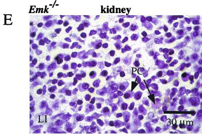 FIG. 7