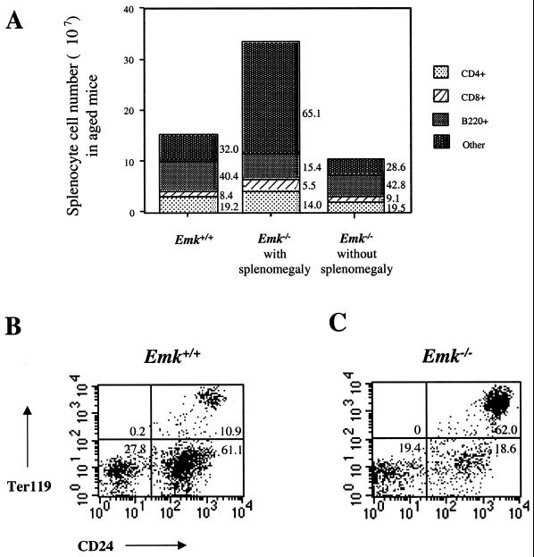 FIG. 6