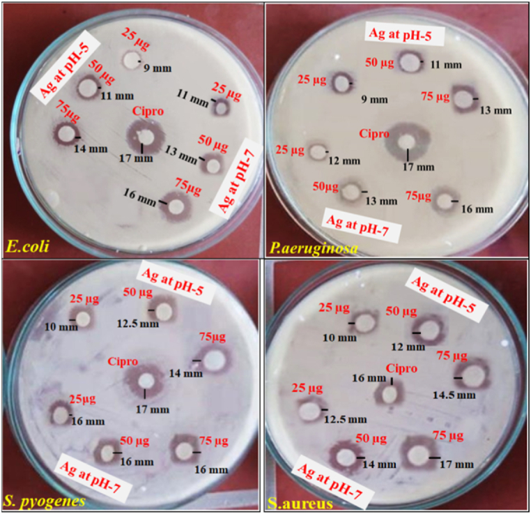 Fig. 13