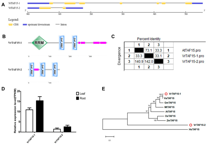 Figure 17