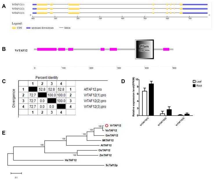 Figure 13