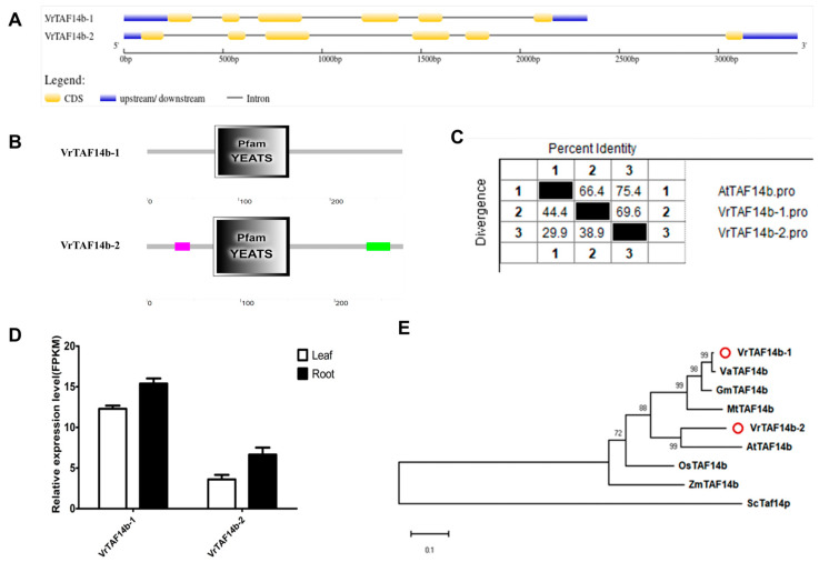 Figure 16