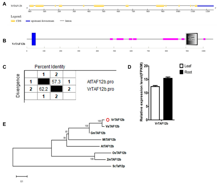 Figure 14