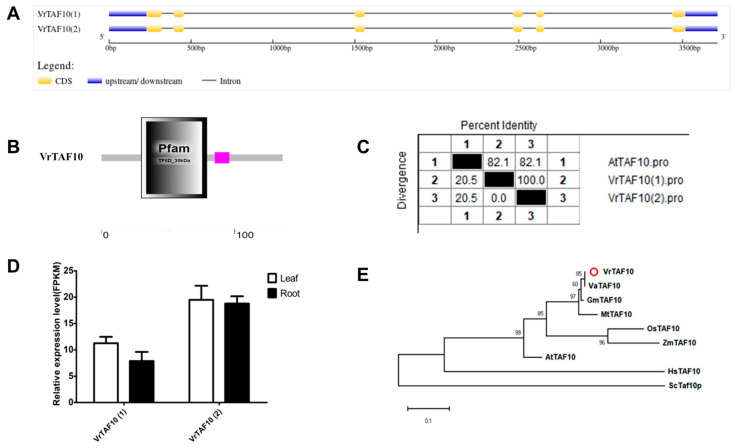 Figure 11