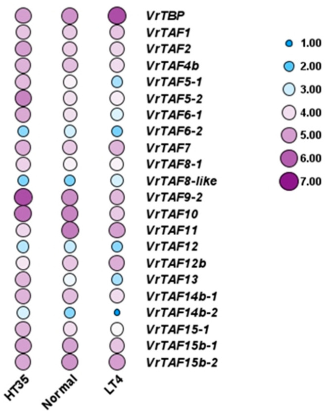 Figure 21