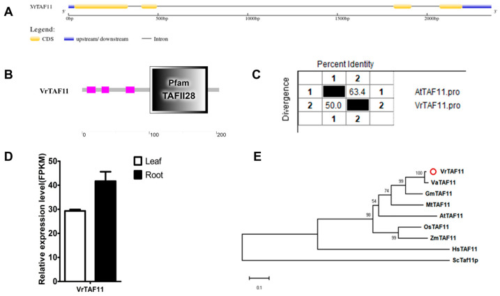 Figure 12